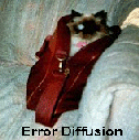 Error Diffusion