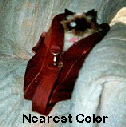 Nearest Color