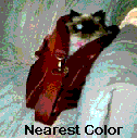 Nearest Color